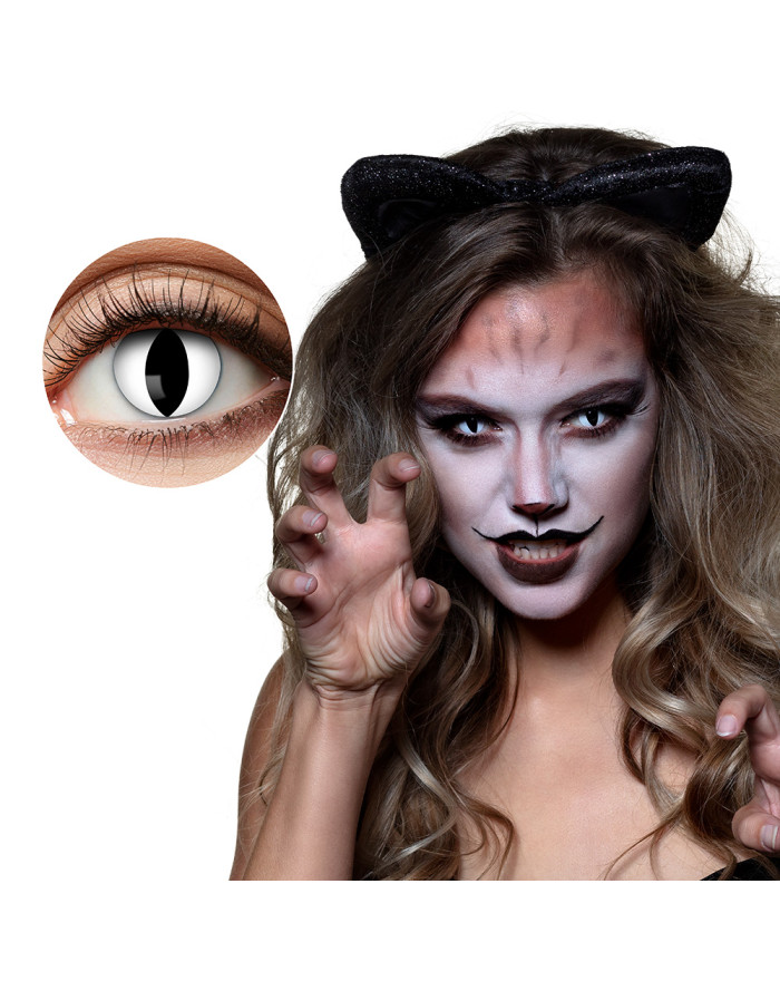 Lentilles de Contact Chat... • Fun Party