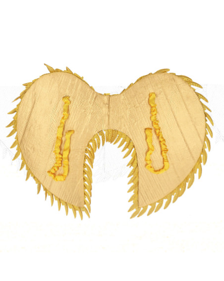 LIFKOME Ailes D'Ange Dorées Pour Enfant – Accessoire Déguisement Halloween, Cosplay, Fête – Taille Unique