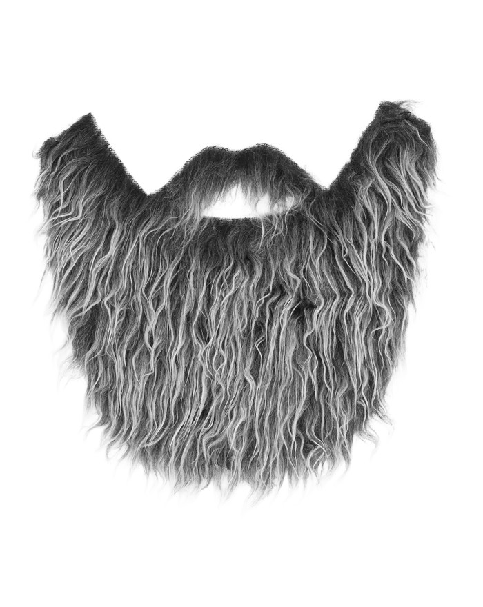 Fausse barbe longue grise –... • Fun Party