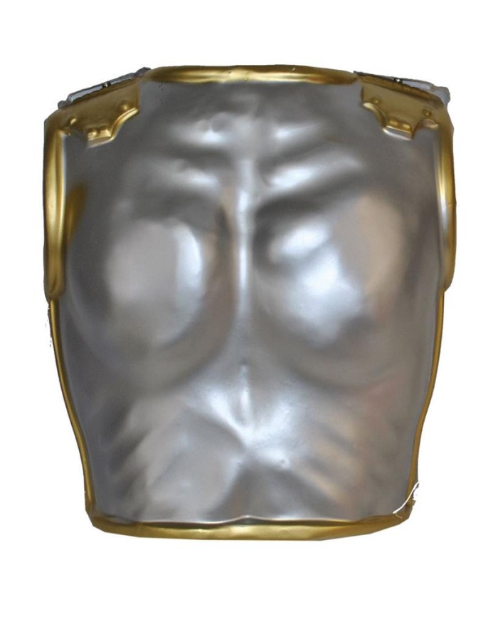 Armure Romaine Adulte... • Fun Party